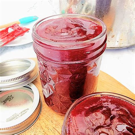 Seedless Raspberry Jam (Small Batch Recipe) – Feast Glorious Feast