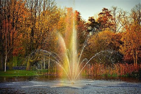 5 Top Benefits of Installing Pond Fountains