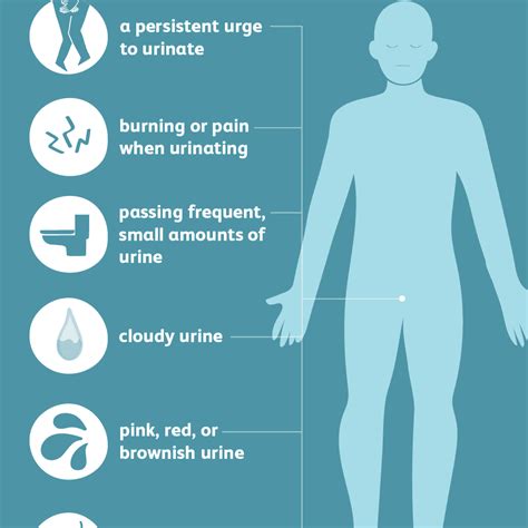 UTI in Men: Symptoms, Causes, Diagnosis, and Treatment