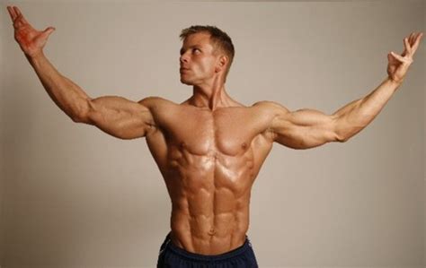 How Steroids Build Muscles - ProsBodyBuilding