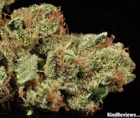 Sour Diesel Strain – Buy CBD Online | CBD Oil, Gummies, Tinctures, Topicals, Vapes & More