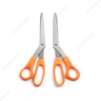 Left and right handed scissors - Stock Image - F012/2886 - Science Photo Library