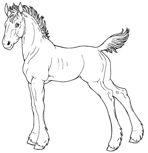 Horse And Foal Drawing at GetDrawings | Free download