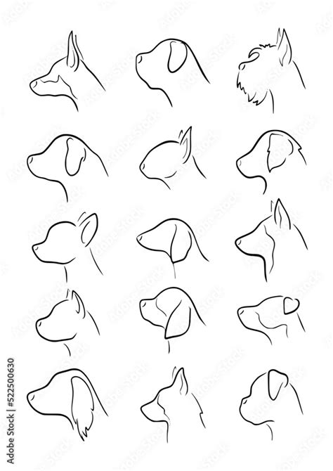 Dog Profile Drawing