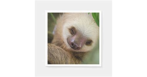 Adorable Real Baby Sloth Sleeping Photo Napkin | Zazzle