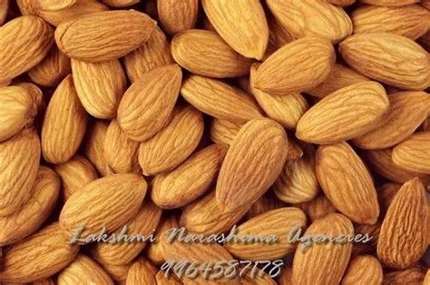 Almond Seed - Wholesale Price & Mandi Rate for Almond Seed in India