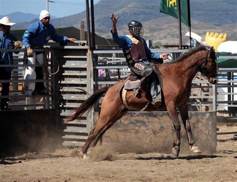 BRONC RIDING