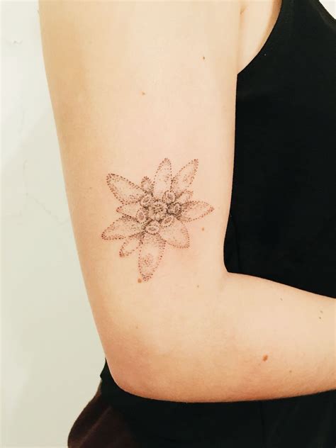 Simple Tattoo Edelweiss Drawing Check out our edelweiss drawing selection for the very best in ...