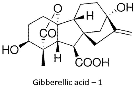 Gibberellic acid - Alchetron, The Free Social Encyclopedia