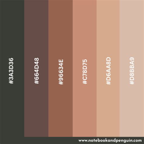 8 Beautiful Skin Tone Color Palette Ideas: Hex Codes Included