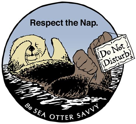 Sea Otter Savvy | Sea Otter Viewing Guidelines & Disturbance Education