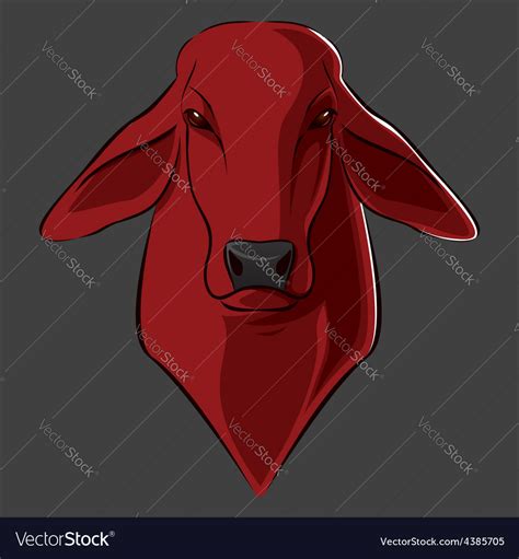 Brahman Cattle Royalty Free Vector Image - VectorStock