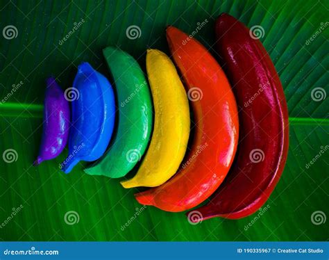 Colourful Banana Rainbow on Banana Leaf. Art on a Gay Pride. Lgbt Symbol Stock Image - Image of ...