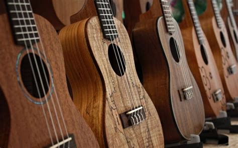 11 Best Ukulele Brands 2022 - Ukulele World