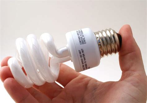 Does Home Depot Recycle Light Bulbs? (Tips & Guides)