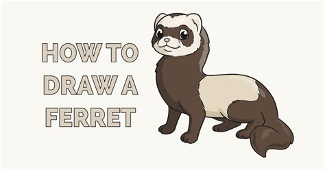 How to Draw a Ferret - Really Easy Drawing Tutorial