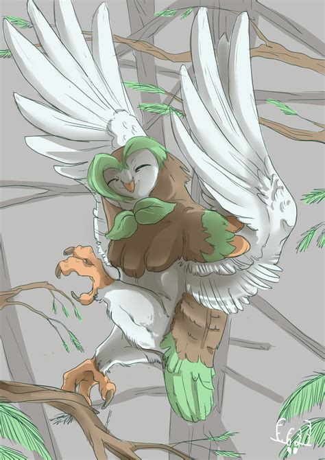 Dartrix. by Routaporo on DeviantArt