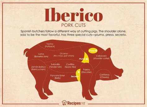 Iberico Pork: Why It's So Expensive & All About The Cuts - Recipes.net