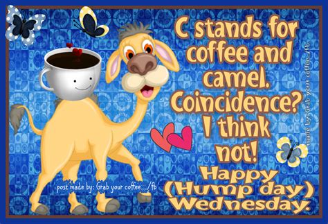 C Stands For Coffee And Camel. Coincidence? I Think Not! Happy Hump Day Wednesday Pictures ...