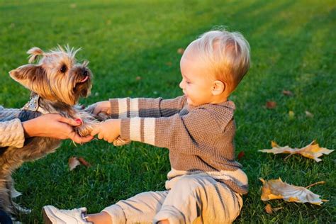 Enjoy the play with your friend. Real Children’s emotions. Beautiful ...