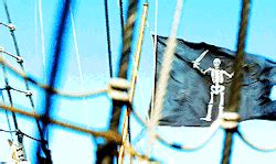 pirate flag on Tumblr