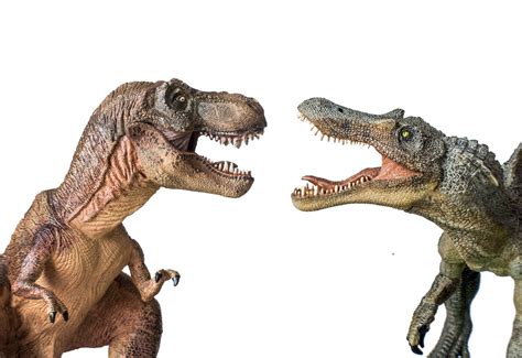 Was Spinosaurus Bigger Than T-Rex? - FossilEra.com