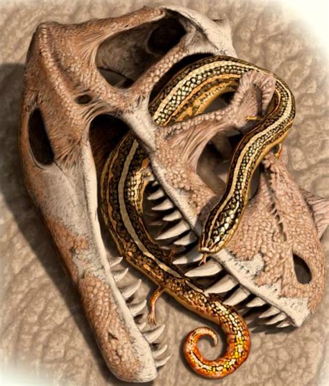 Paleontologists Find World's Oldest Known Snake Fossils | Paleontology | Sci-News.com