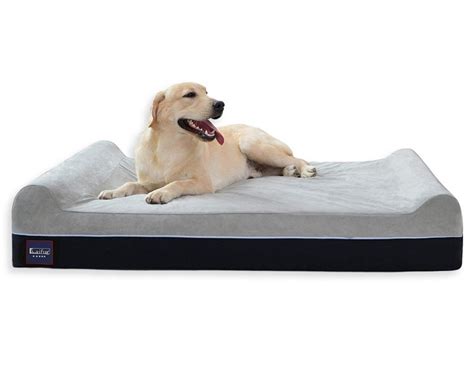 12 Best Orthopedic Dog Beds for Arthritis - Hey, Djangles.