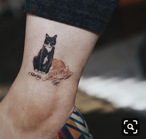 Pin on Tattoos | Cat tattoo designs, Cute cat tattoo, Animal tattoos