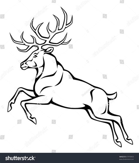 Jumping Deer Stock Vector 67970053 : Shutterstock