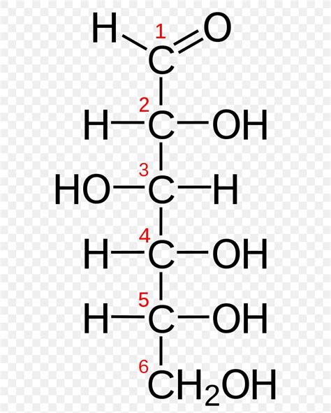 Fischer Projection Glucose Aldose Haworth Projection Galactose, PNG, 596x1024px, Fischer ...