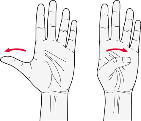 Exercises for the fingers, hands and wrists | Versus Arthritis