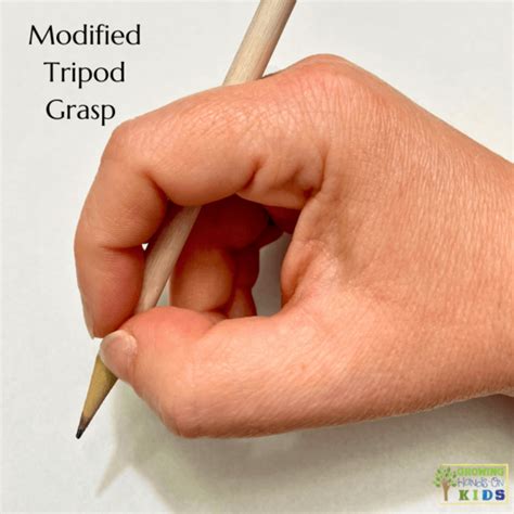 Pencil Grasp Development: The Tripod Grasp