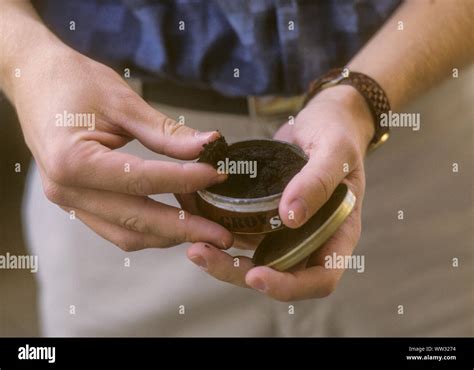 Snuff tobacco hi-res stock photography and images - Alamy