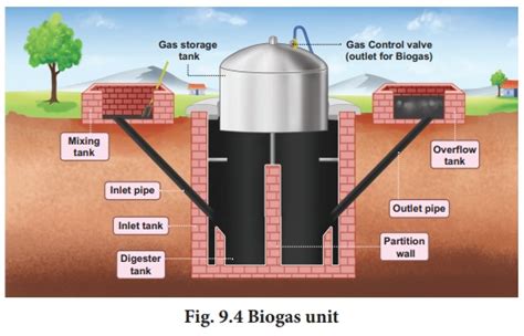 Microbes in the production of biogas (Gobar gas) - Zoology