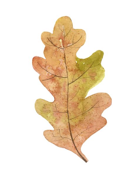 Autumn Oak Leaf 10585910 Vector Art at Vecteezy