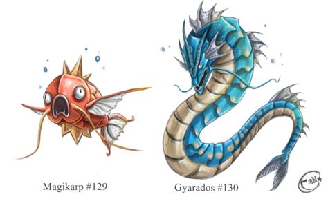 Magikarp and Gyarados by Zafrean on DeviantArt