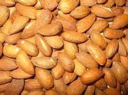 Almond Seed - Wholesale Price & Mandi Rate for Almond Seed in India