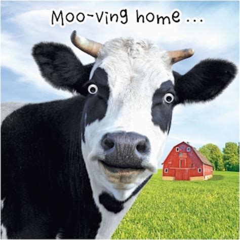 Cow Birthday Meme Gogglies 3d Moving Eyes Funny Cow Moo Ving House Card ...