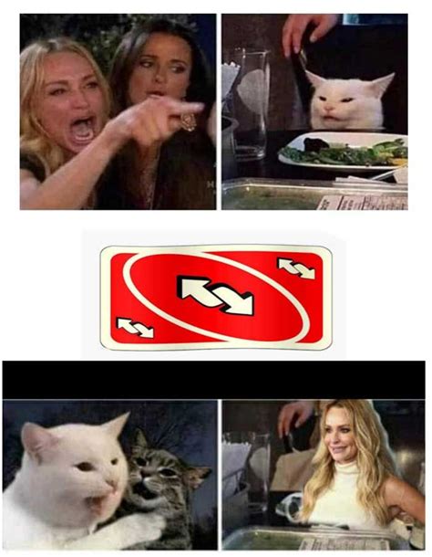 Best Woman Yelling At Cat Meme Generator : A blank template of this meme is available for you to ...