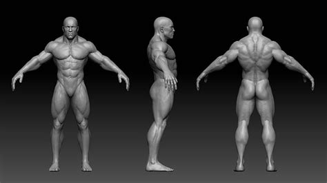 3D model Muscular male body VR / AR / low-poly | CGTrader