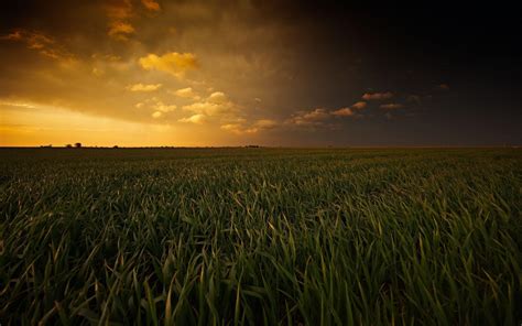 4K Grass Wallpapers - Top Free 4K Grass Backgrounds - WallpaperAccess