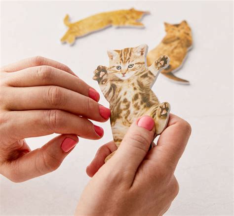 Cat Nail File | Urban Outfitters