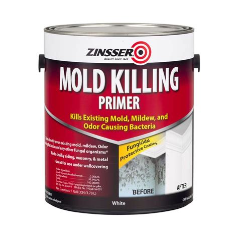 Best Mold- and Mildew-Resistant Paints for 2022 | The Family Handyman