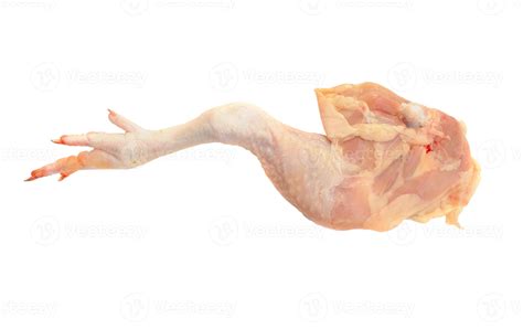 Chicken leg on a white background 4159119 Stock Photo at Vecteezy