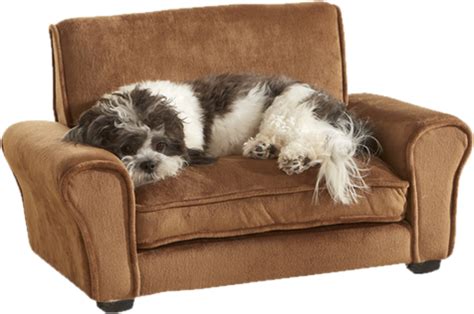 Dog Beds - Wayfair Canada