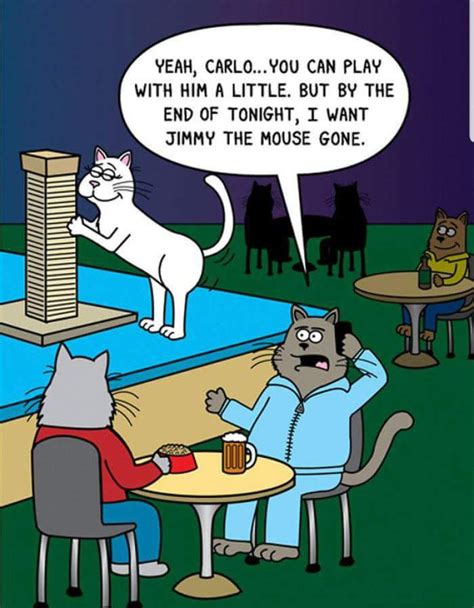 Pin by Sandy Ayres on Scott Metzger | Cat comics, Cat jokes, Cartoon cat