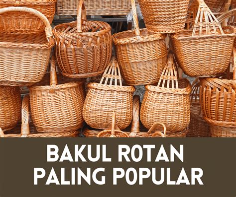 8 Bakul Rotan Popular Pilihan Nitizen Malaysia • Portal Informatif Anda