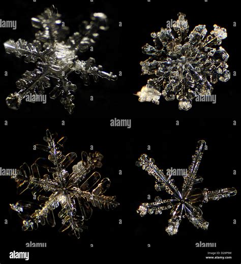 Snowflake microscope hi-res stock photography and images - Alamy