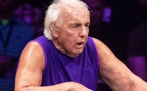 Ric Flair Admits He Fell Asleep During Retirement Match